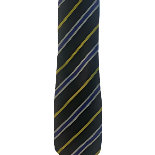Wirral Grammar Boys Ties