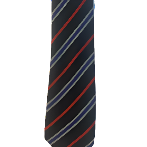 Wirral Grammar Boys Ties