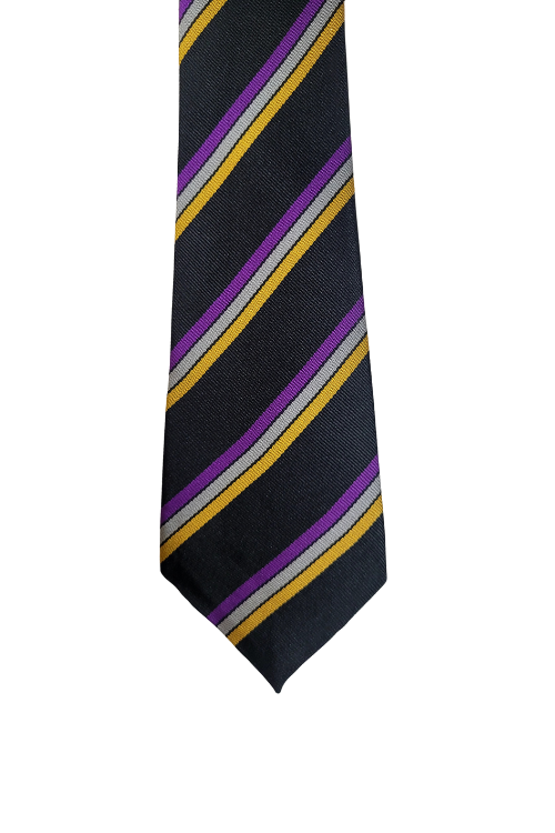 Hilbre School Tie
