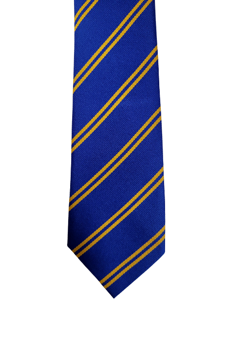 Oldershaw Academy Tie