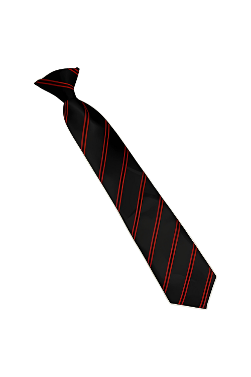 Birkenhead Park Clip-On Tie