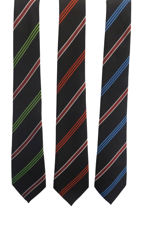 Calday Grammar School Tie (House Colour)