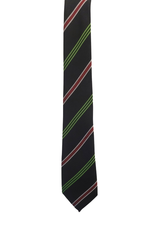 Calday Grammar School Tie (House Colour)