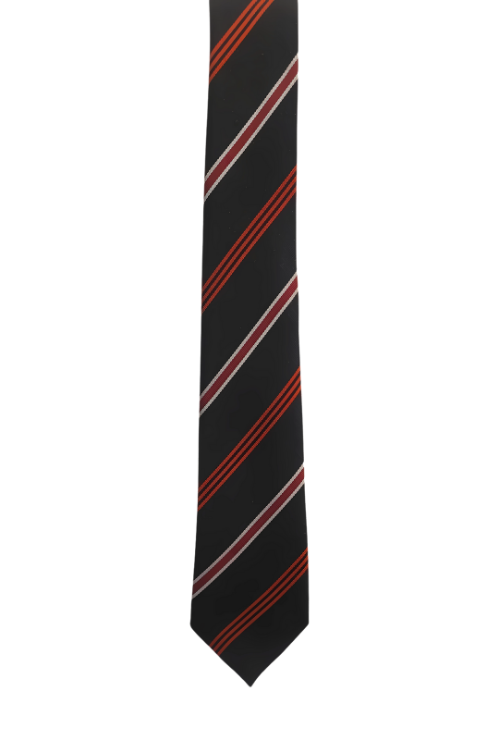 Calday Grammar School Tie (House Colour)