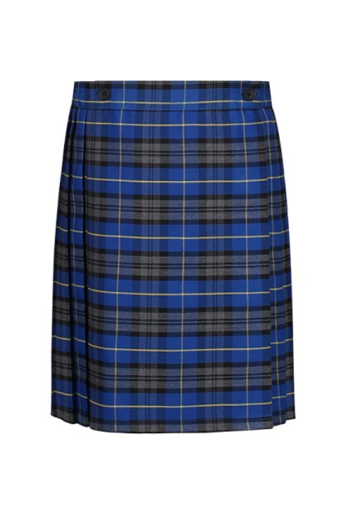 Blue Checked Skirt