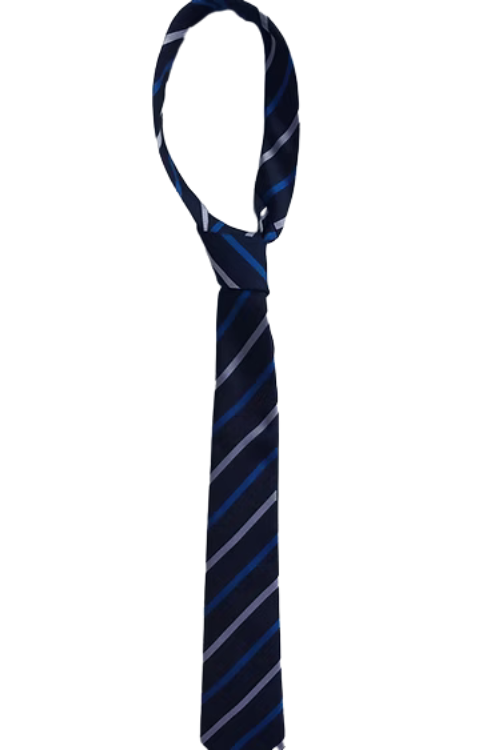 Pensby High School Tie