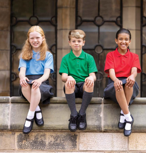 Plain Polo Shirt (Various Colours)