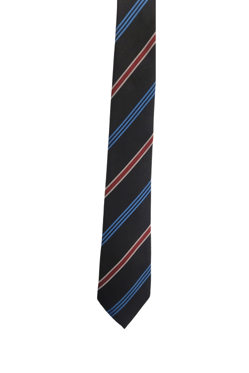 Calday Grammar School Tie (House Colour)