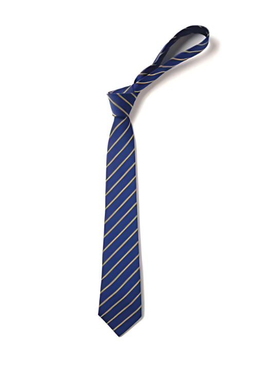 Royal and Gold Thin Striped Tie